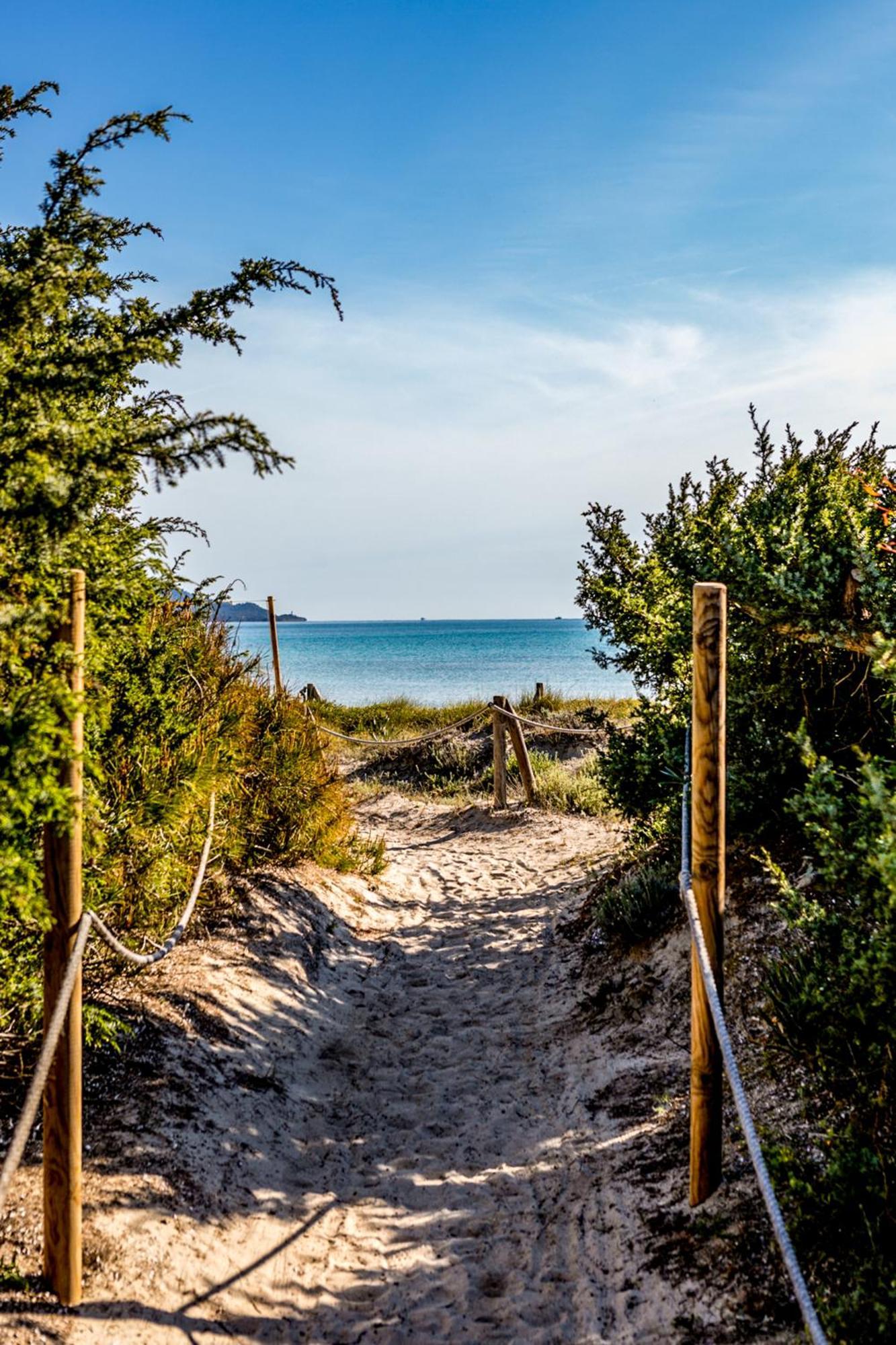 Grupotel Parc Natural & Spa ปลายาเดมูโร ภายนอก รูปภาพ View of Lake Michigan from the dunes at the Indiana Dunes National Park